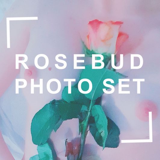 Rosebud Photo Set