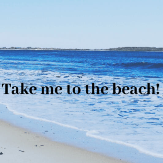 Treat me To a Beach Trip!
