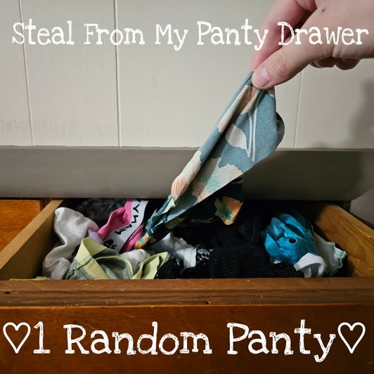 Steal A Panty!