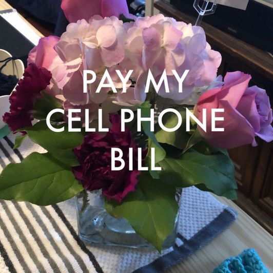 Cell Phone Bill