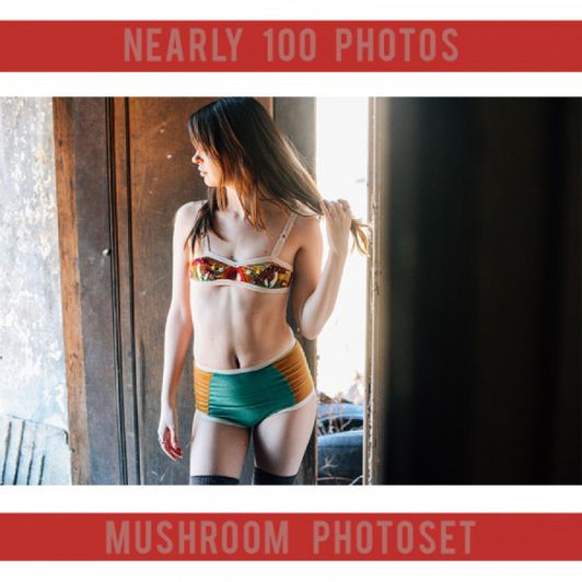 Mushroom photoset