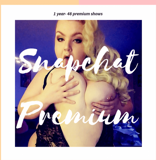Snapchat premium: 1 year