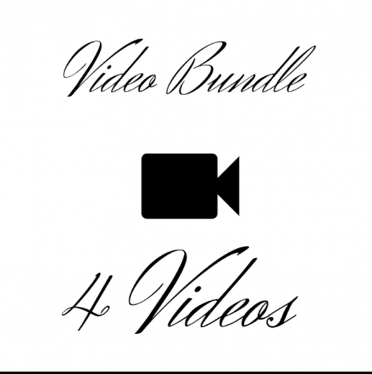 Video Bundle X 4