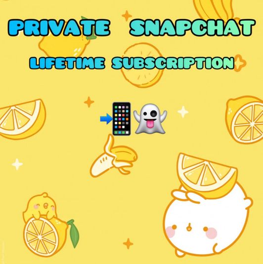 Private Snapchat: Lifetime Subscription