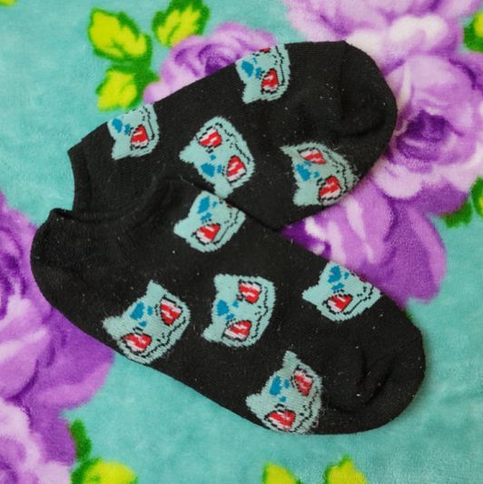 Bulbasaur Socks