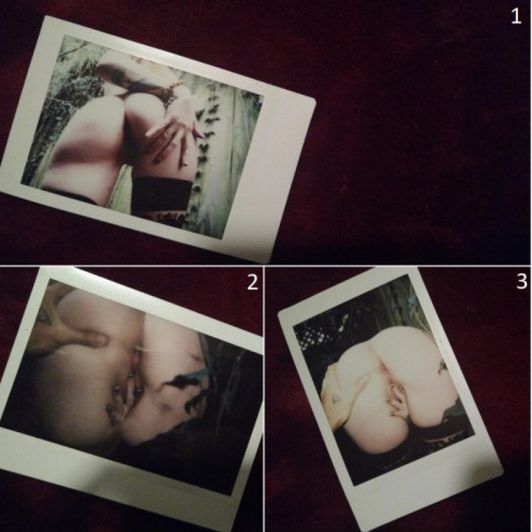 public nudity pussy grab film polaroids