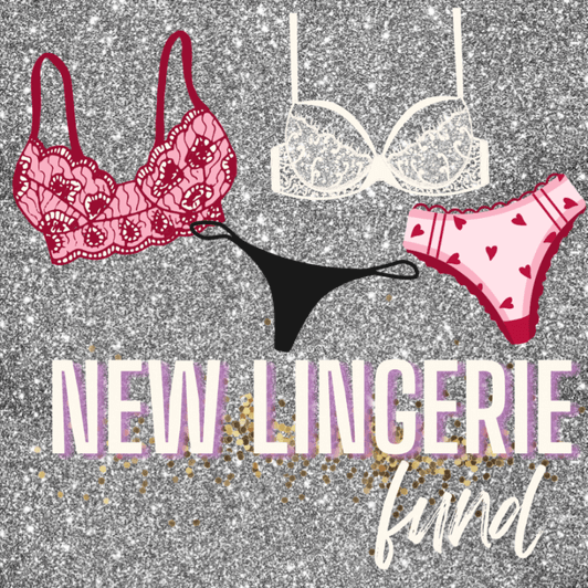 new lingerie fund!