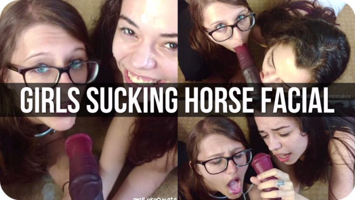 Girls Sucking Horse Cock Facial Reward