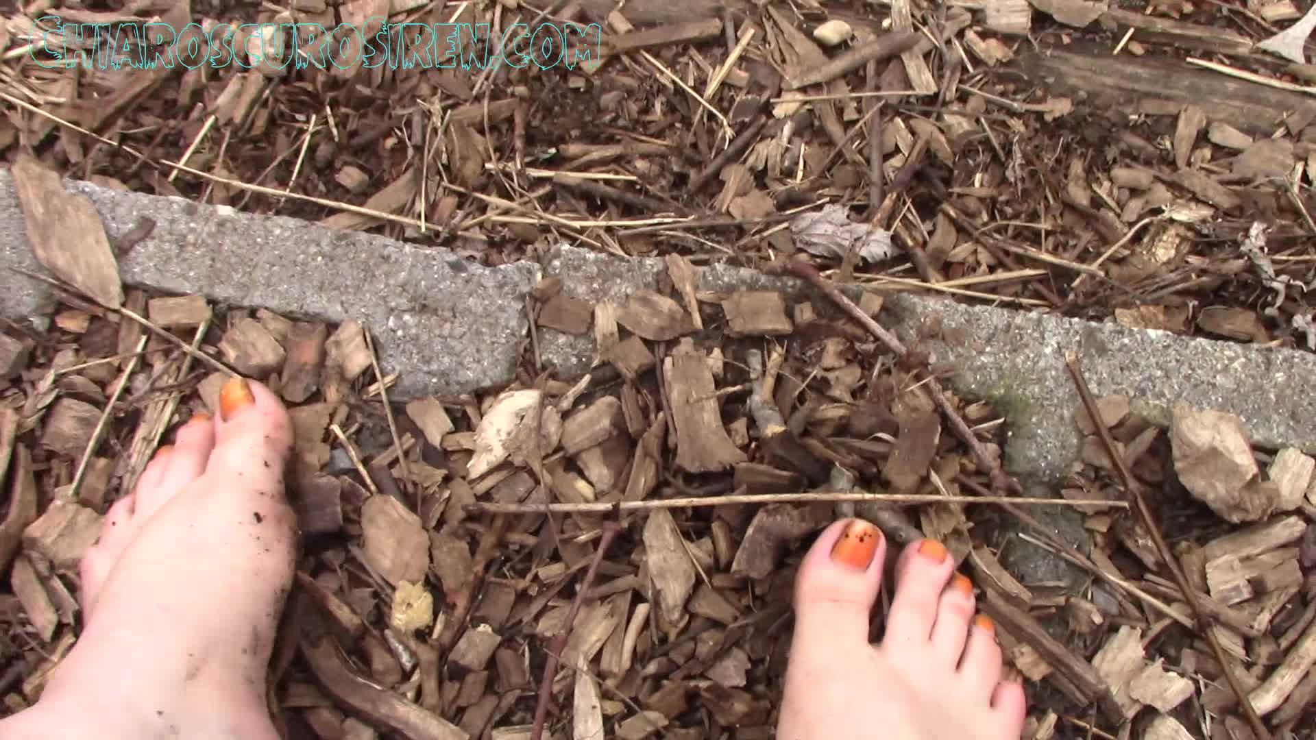 Barefoot Public Garden Walk Dirty Feet