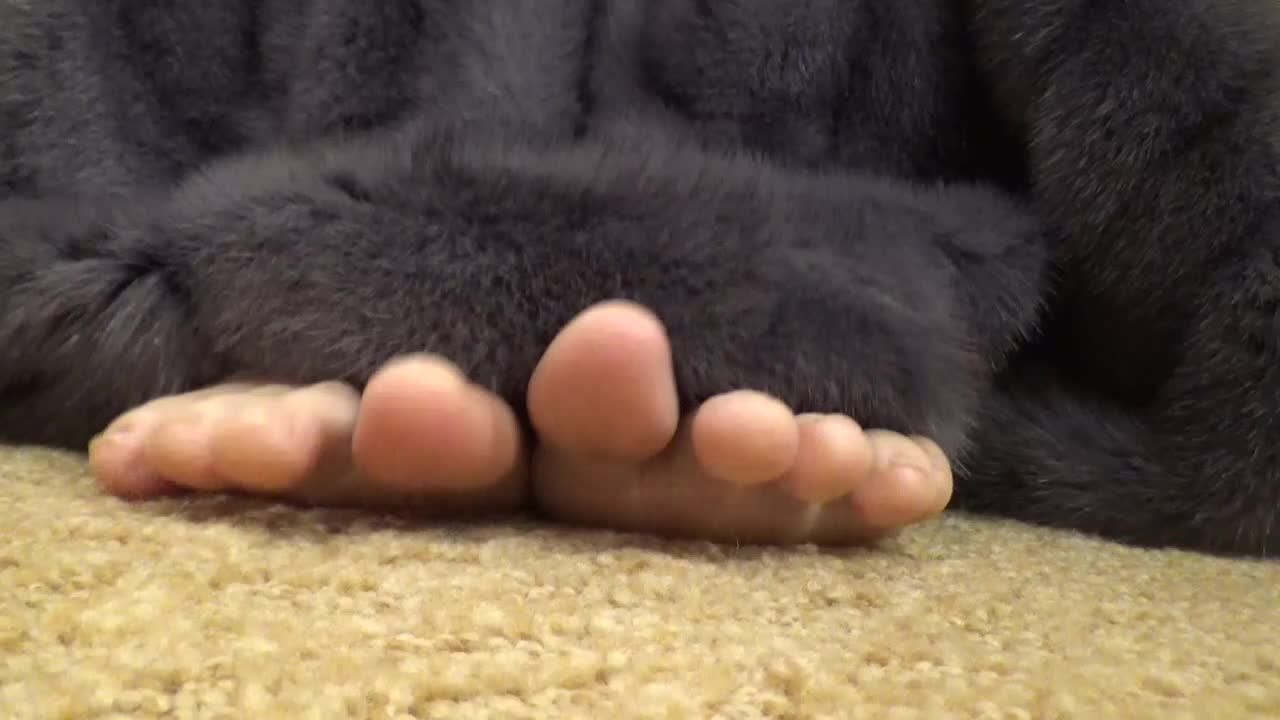 Fur Coat Foot Tease