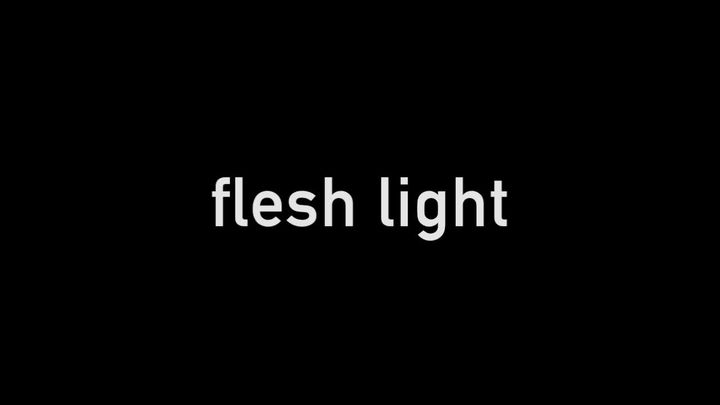 Flesh-light