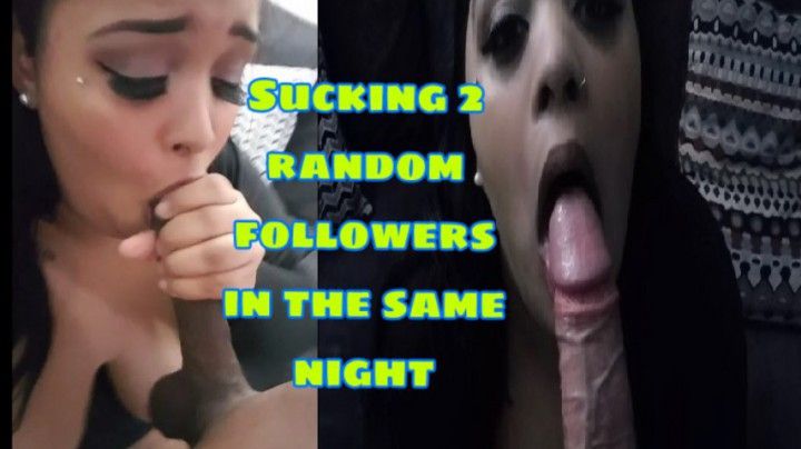 Sucking 2 fans cocks the same night