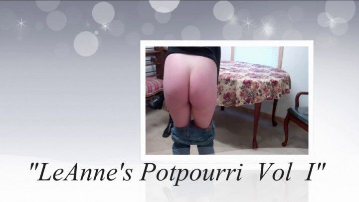 LeAnne's Potpourri Volume One