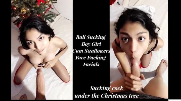 Sucking cock under the Christmas tree