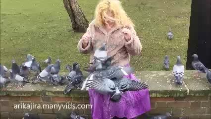 Feeding The Pigeons At Derby FREE
