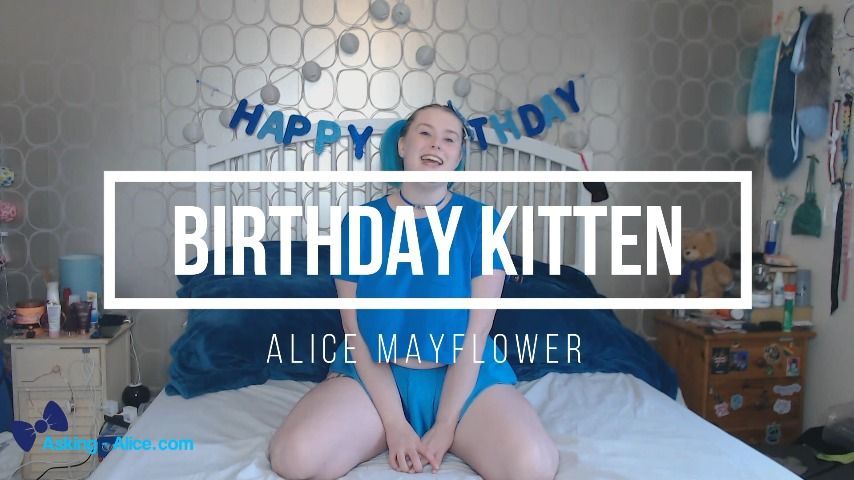 Birthday Kitten - Solo Girl