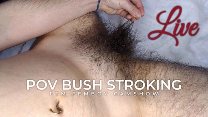 POV Bush Stroking Live