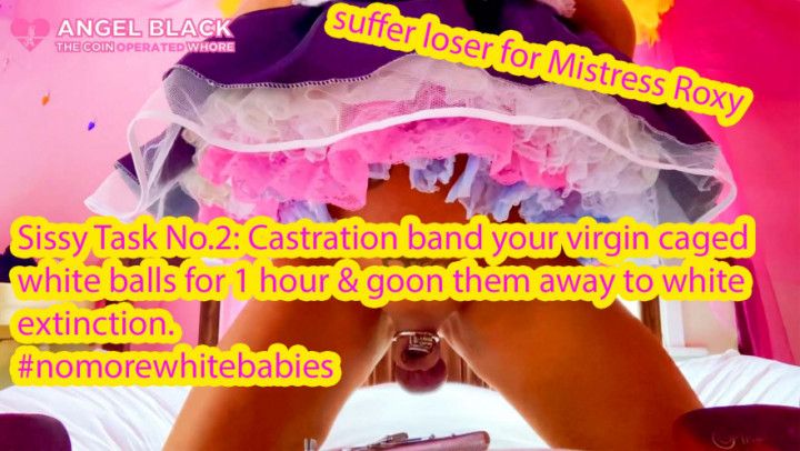 Castration band balls for Mistress BNWO