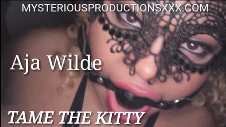 TAME THE KITTY - AJA WILDE