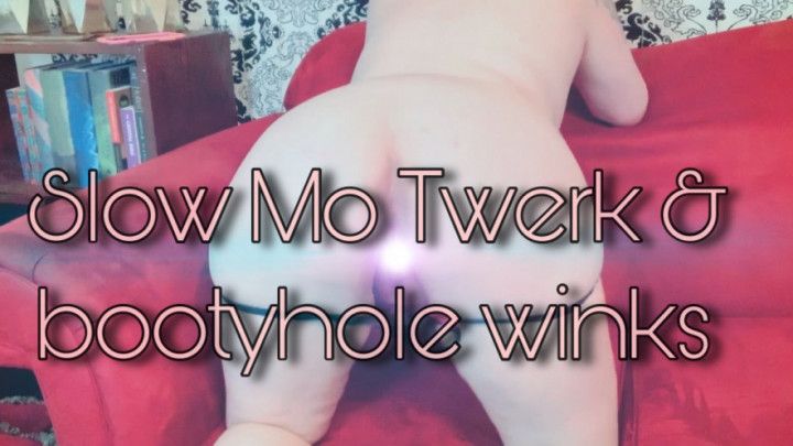 Slow Mo Twerk and Bootyhole Winks