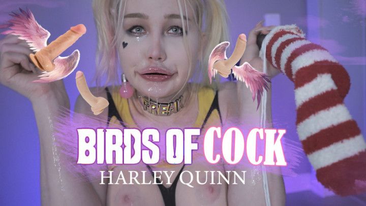 Harley: Bird of cocks