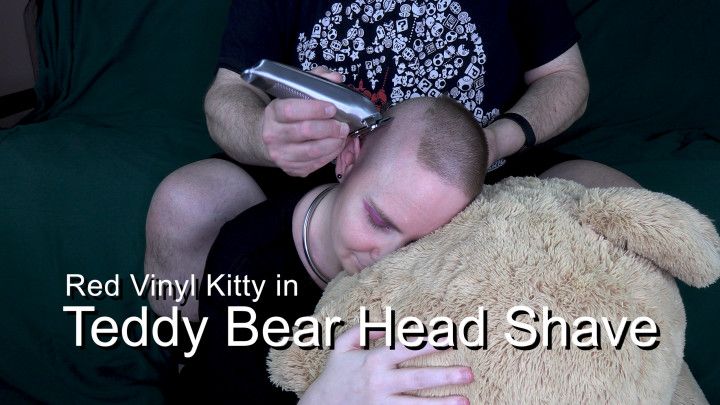 Teddy Bear Head Shave