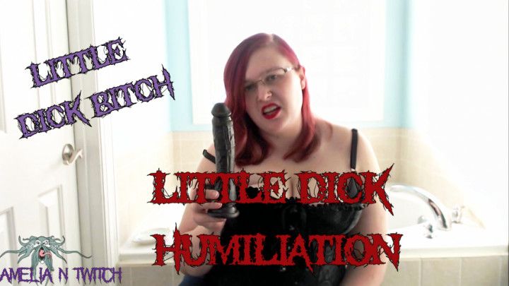 Little Dick Humiliation