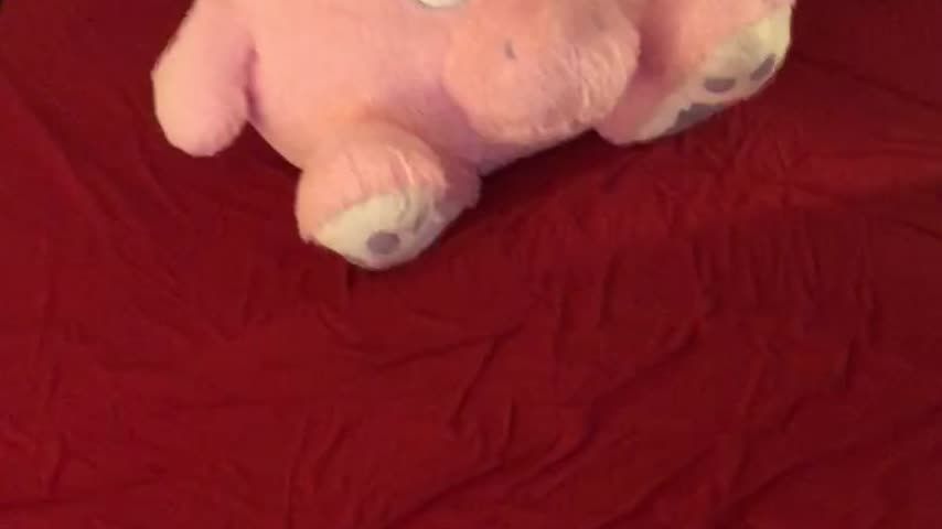 Squash - fat pink unicorn