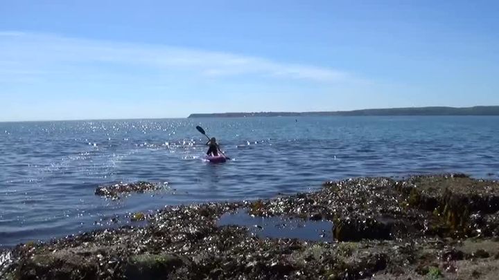 Desperate Kayak-er has to pee on beach