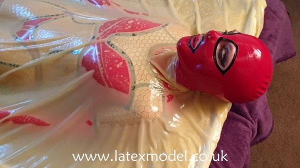 Latex Model in a clear latex vacbed