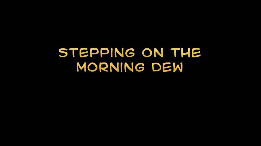 Stepping on the Morning Dew