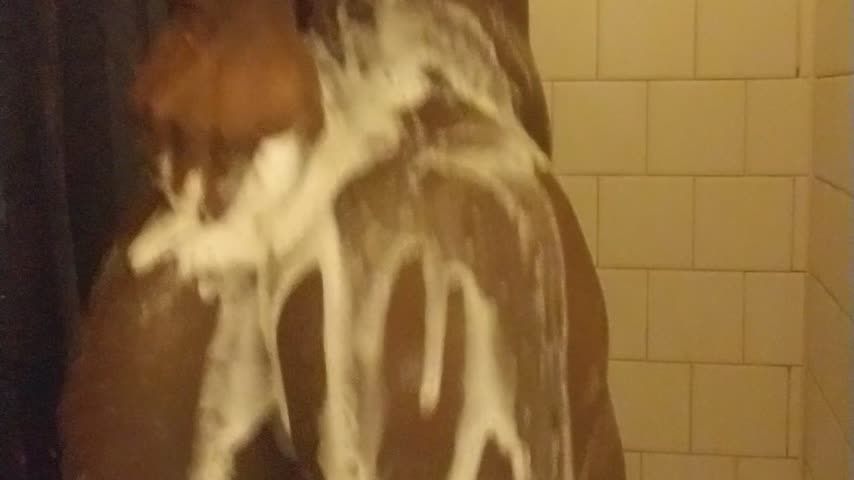BBC Soapy Shower