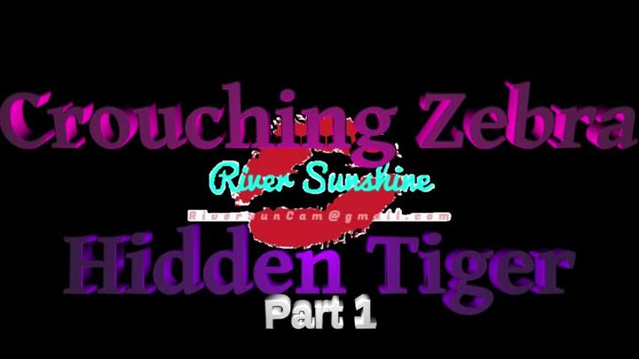 Crouching Zebra Hidden Tiger