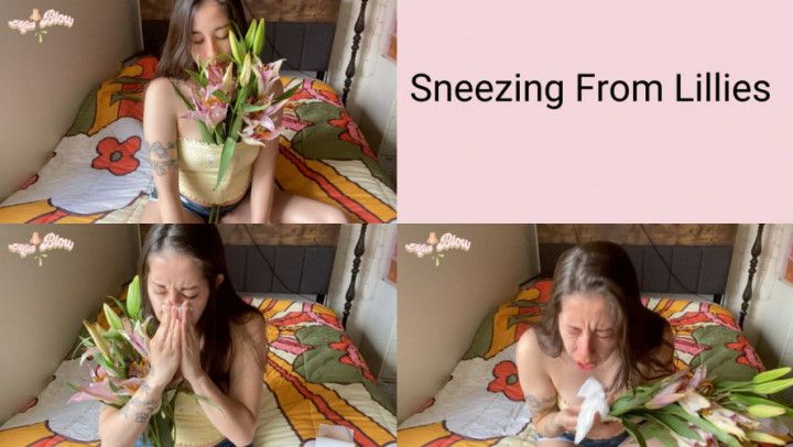 Sneezing From Lillies