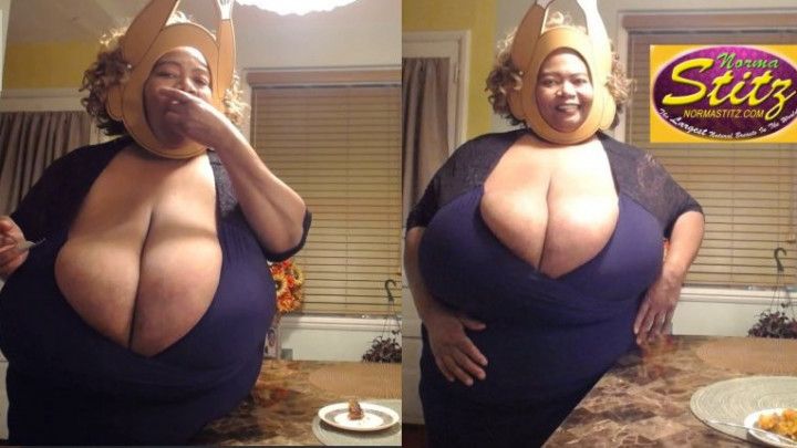 NORMA STITZ THANKSGIVING MEANING