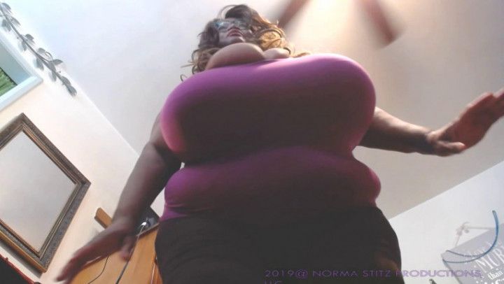 DOWN AND UNDER WITH NORMA STITZ