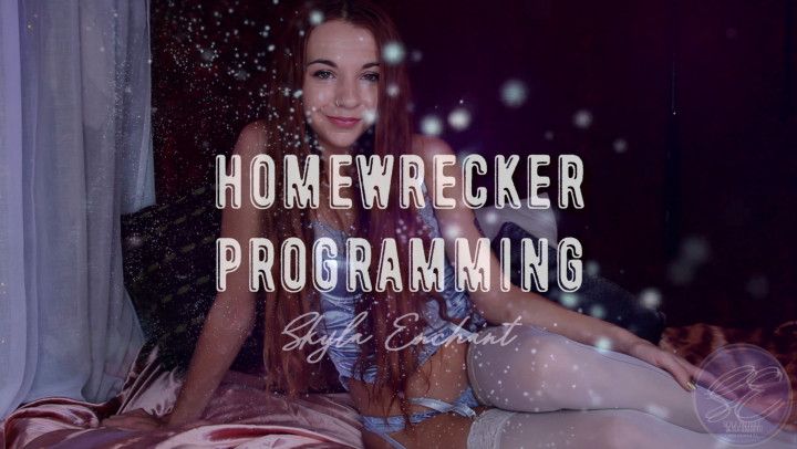 Homewrecker Programming