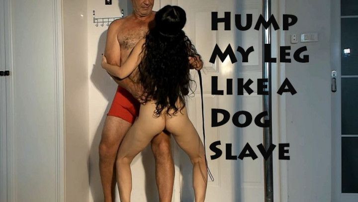 Slave Humps Leg Like a Dawg