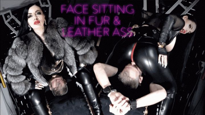 FACE SITTING IN FUR AND LEATHER ASS