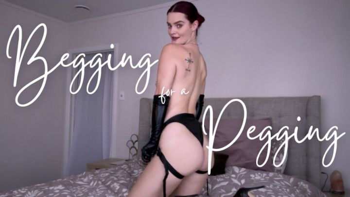 Begging For a Pegging