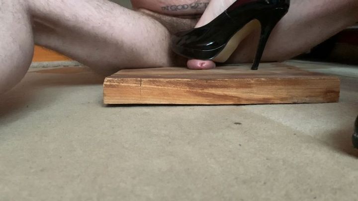 Floor camera view of cock trampling