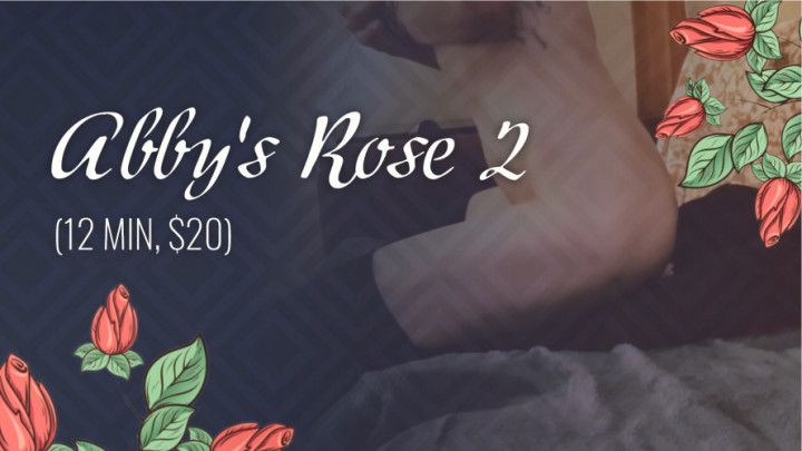 Abby's Rose 2