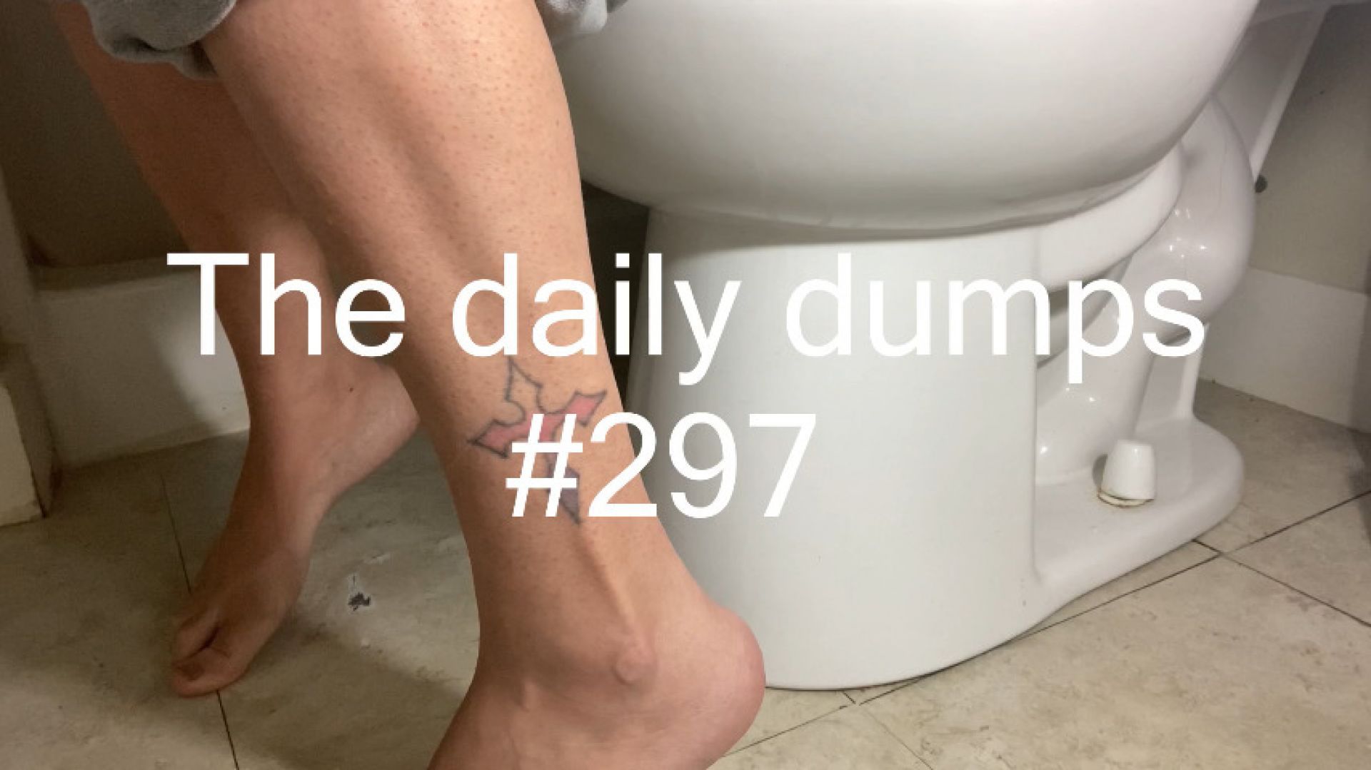 The daily dumps #297