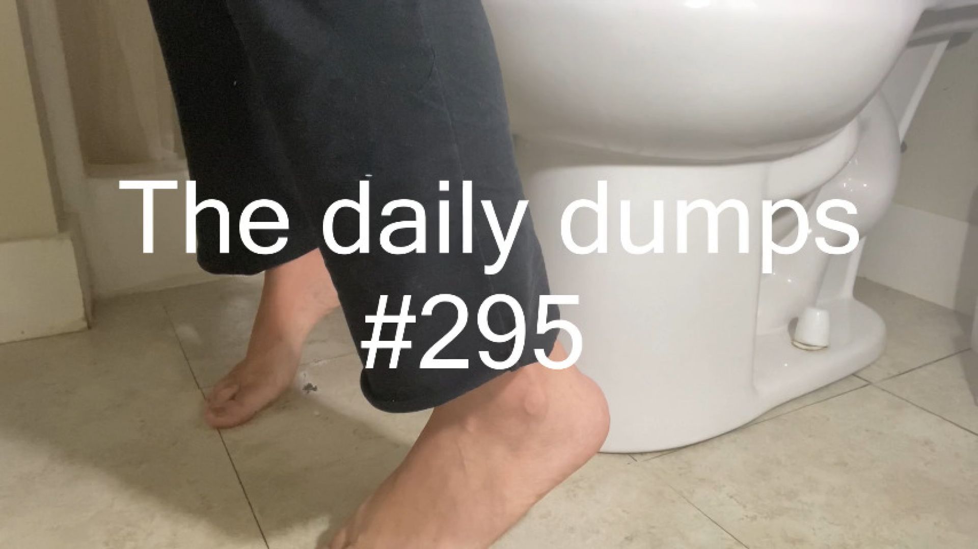 The daily dumps #295