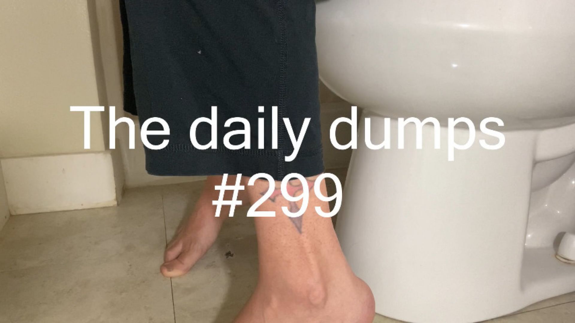 The daily dumps #299