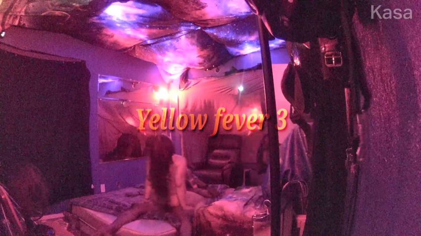 yellow fever 3