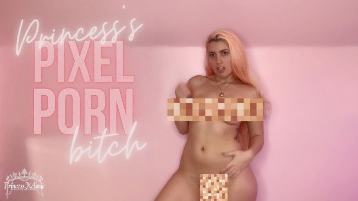 Princess's Pixel Porn bitch