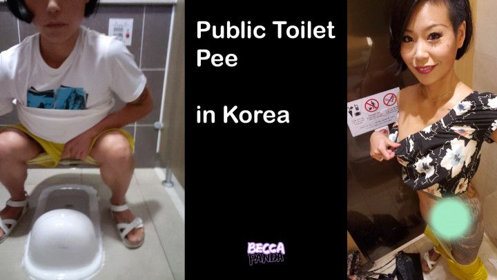 Asian Urinal Public Toilet Pee