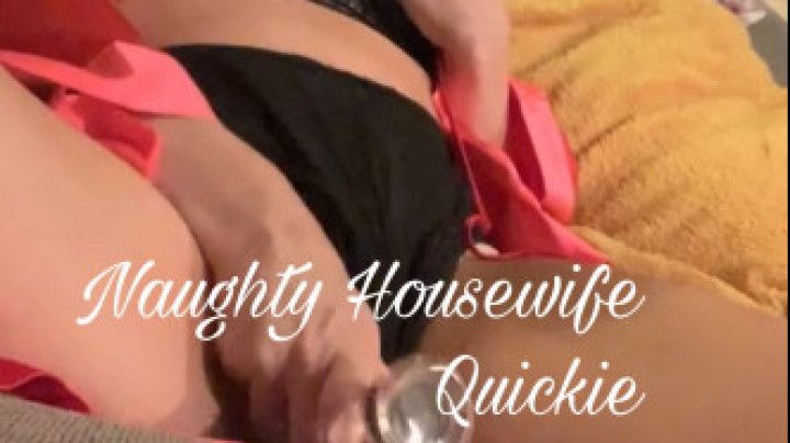 Naughty Housewife Quickie