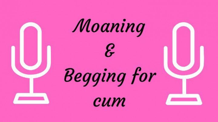 Moaning and Begging for Cum *Audio only